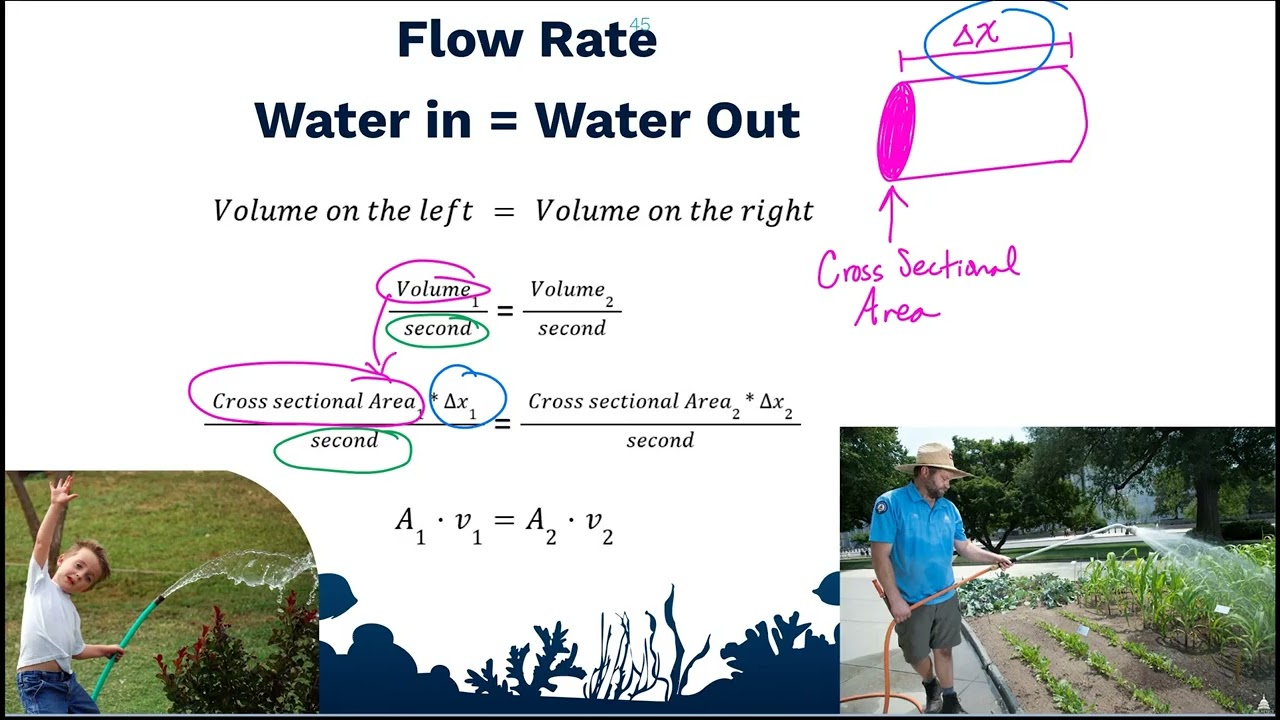 Fluids Lecture Part 7   Fluid Flow and Flow Rate