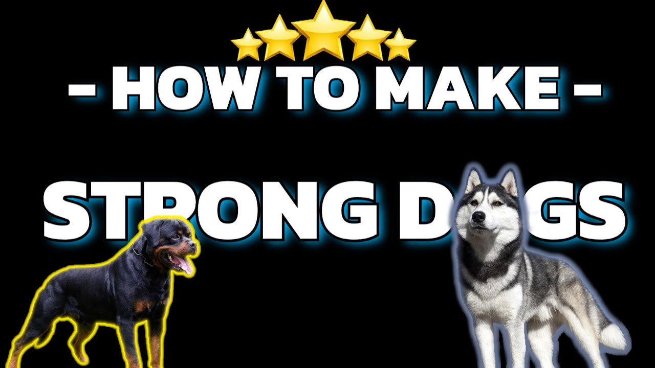 TWDS How to Increase Your Odds Exchanging Dogs