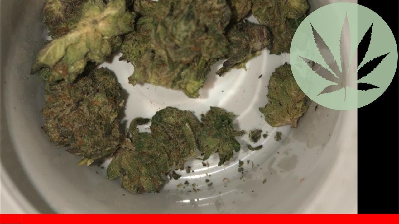 Pink Kush - All About This Strain