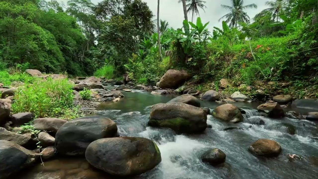 Relaxing Forest River Flowing Gently 🌿 Slow Water Sounds for Deep Sleep
