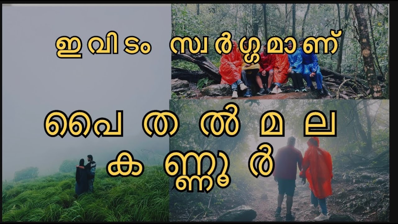 ഒരിക്കലെങ്കിലും പോയില്ലെങ്കിൽ വൻനഷ്ടം  | paithalmala #kerala #kannur #malayalam