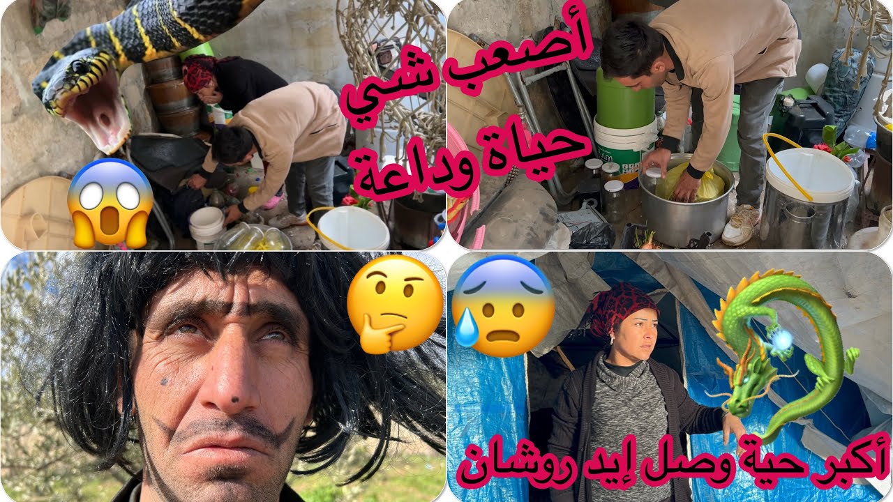 ￼ نظف ناها كامل ترتيب مفاجأة طلع ناها أكبر حية 🐉حسبي الله ونعم الوكيل شوفوا شو صار معنا ￼￼￼🤯😰