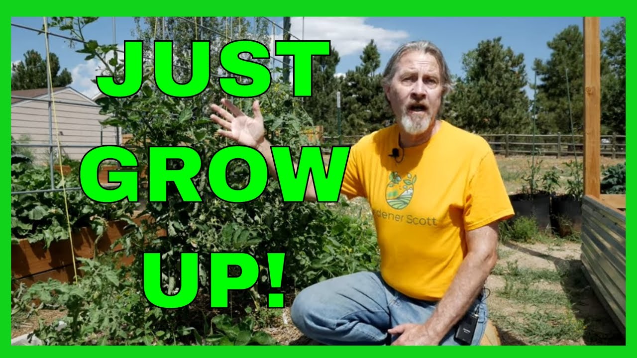 How to Grow a Vertical Garden