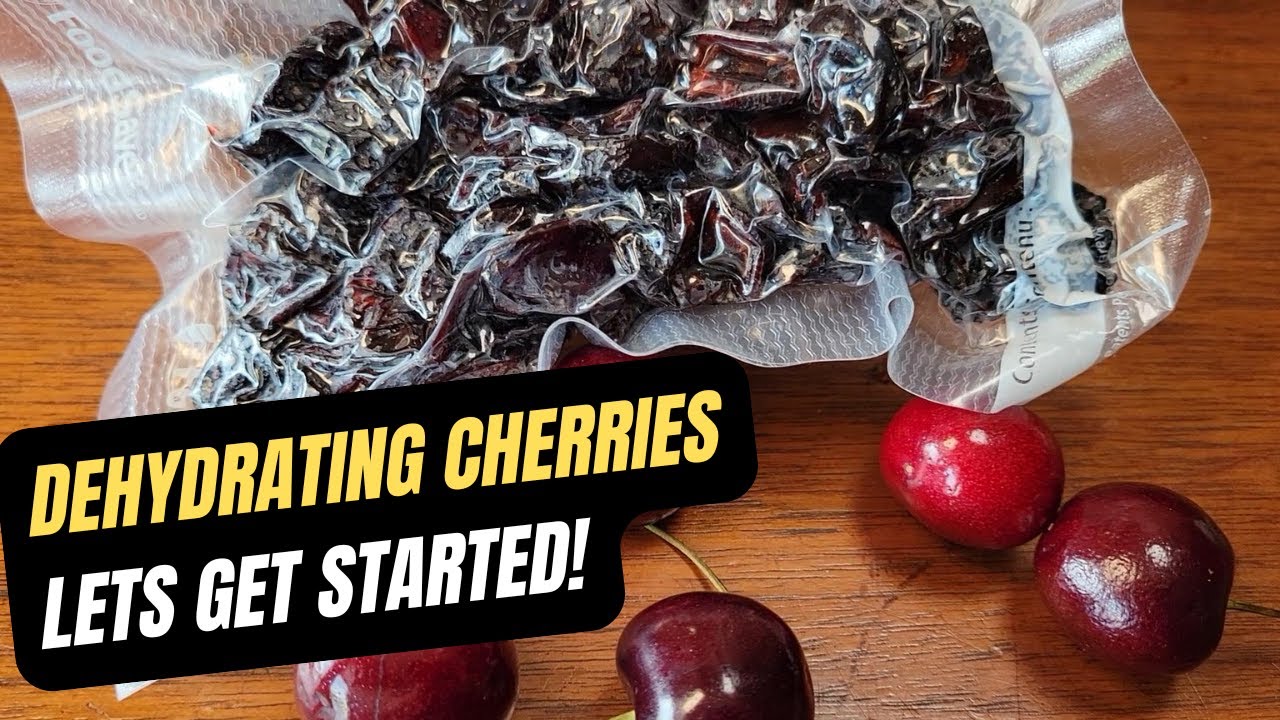 Dehydrate Cherries at Home Perfectly | Dried Cherries