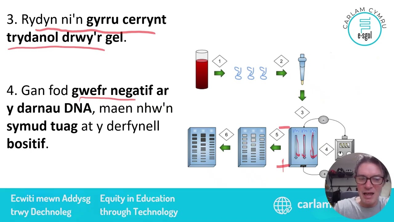 Uned 4.5 - Cymwysiadau atgenhedlu a geneteg