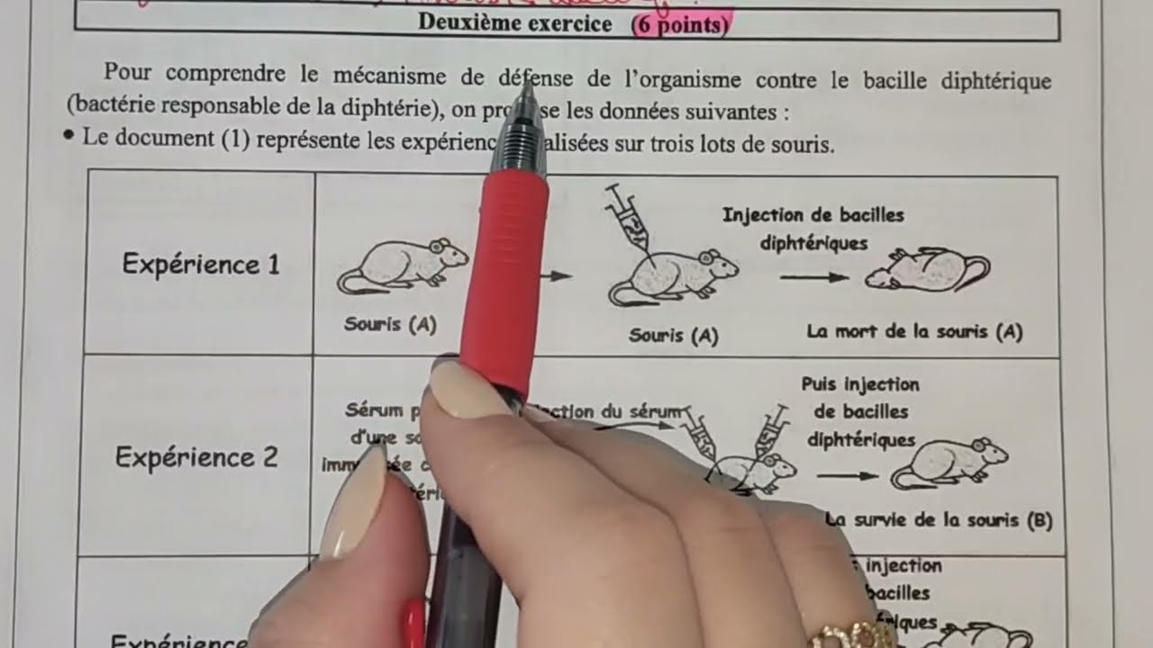 Examen Régional SVT 3AC 2024 تصحيح الموحد الجهوي ثالثة إعدادي