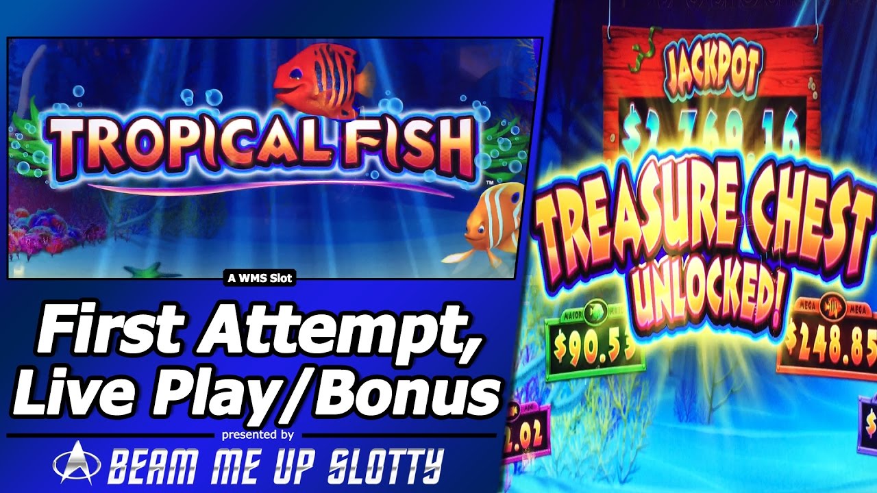 Tropical Fish Slot - Live Play with Free Spins and Re-Spin Feature in new WMS title