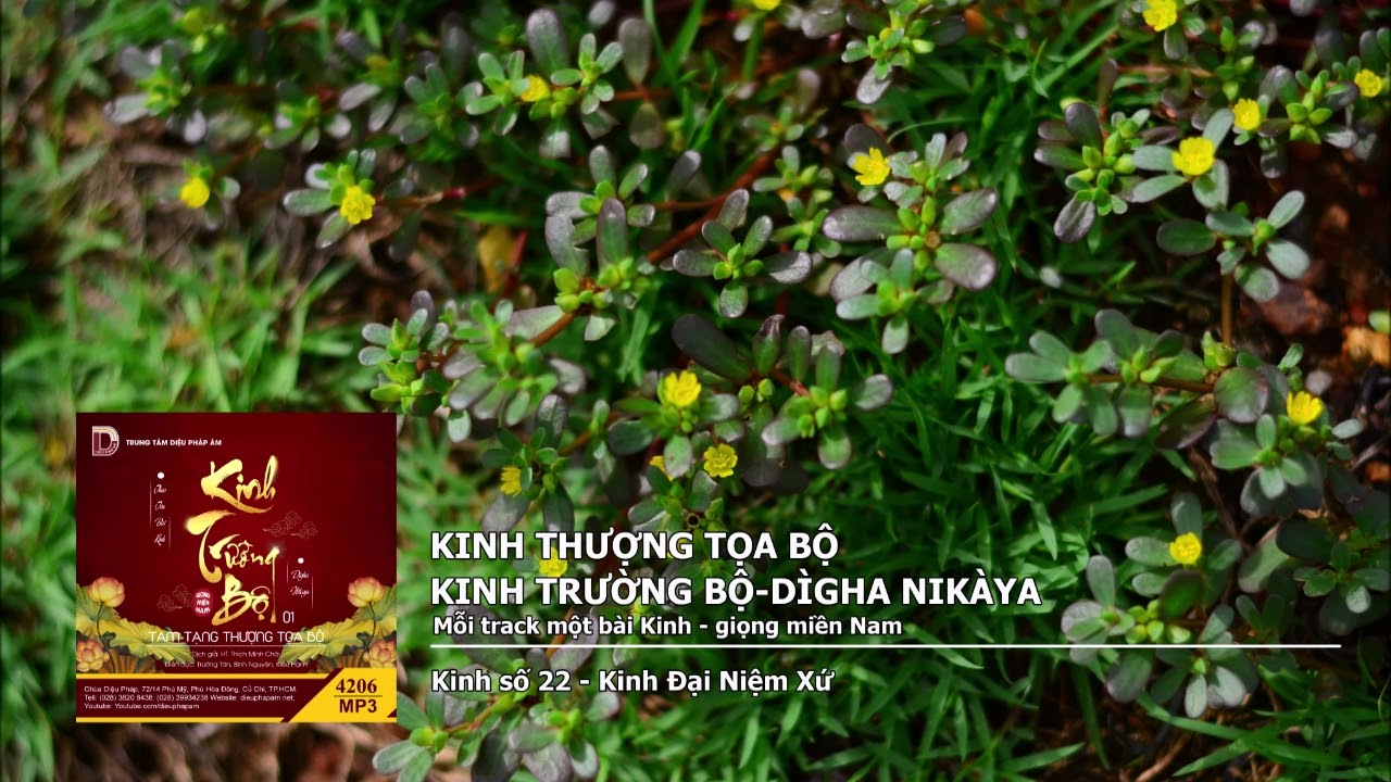 K Trường Bộ – Kinh số 22 – Kinh Đại Niệm Xứ giọng miền Nam