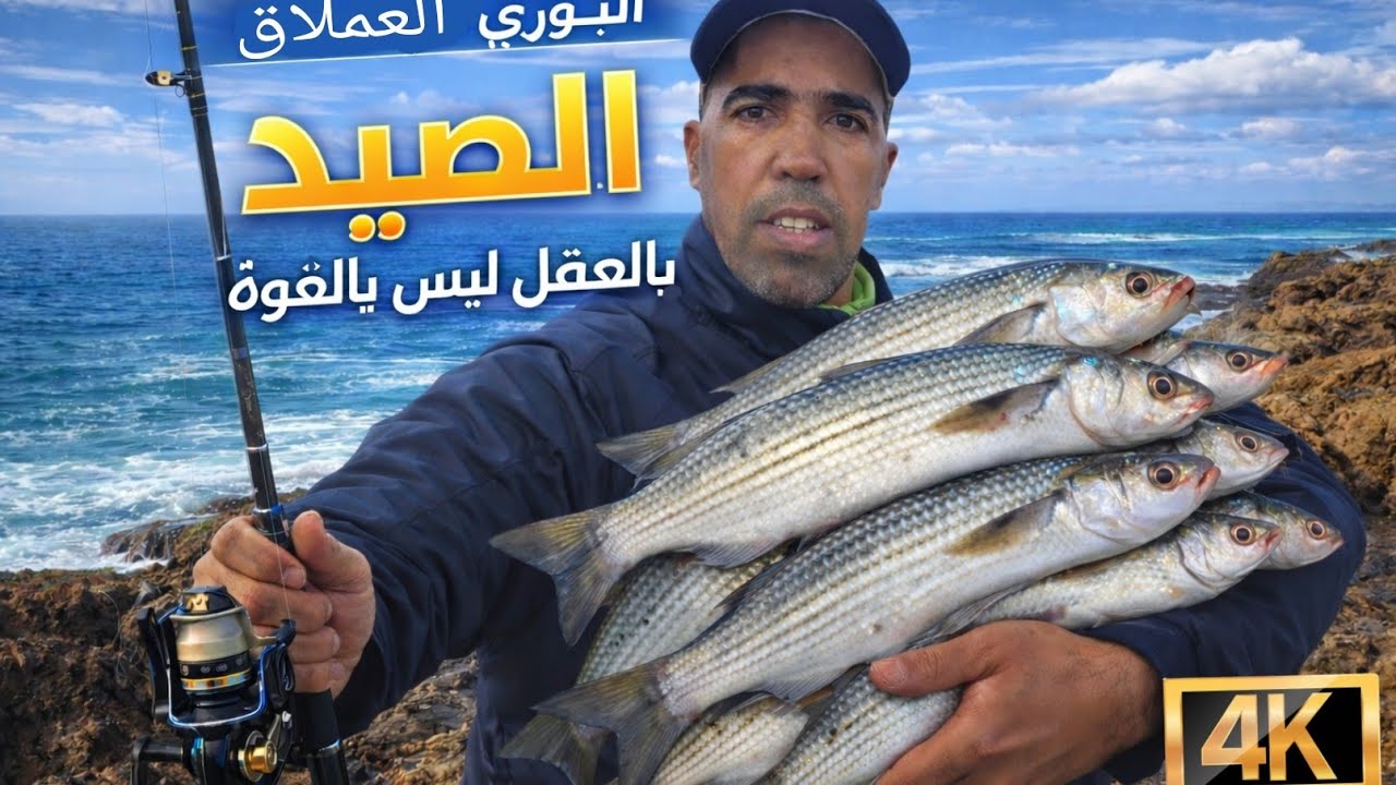 حصيلة ممتازة من سمك البوري و الشرغو مع الرايس زكرياء 