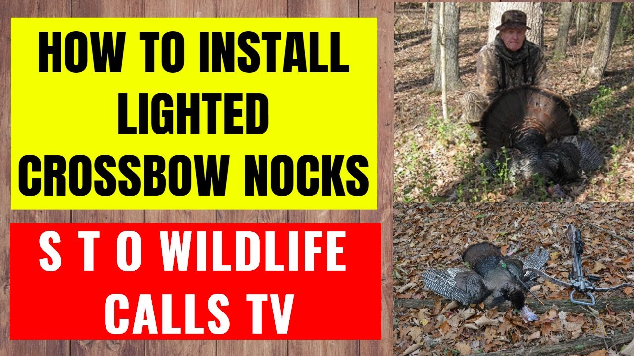 How To Install Lighted Crossbow Nocks