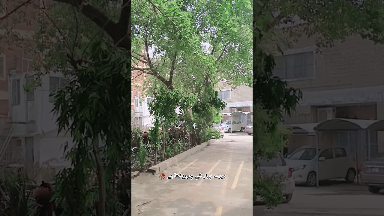 AK baar nahi bar bar dekha hy #hindisong #song #shortvideo #englishsongs #trending #funnyvideo