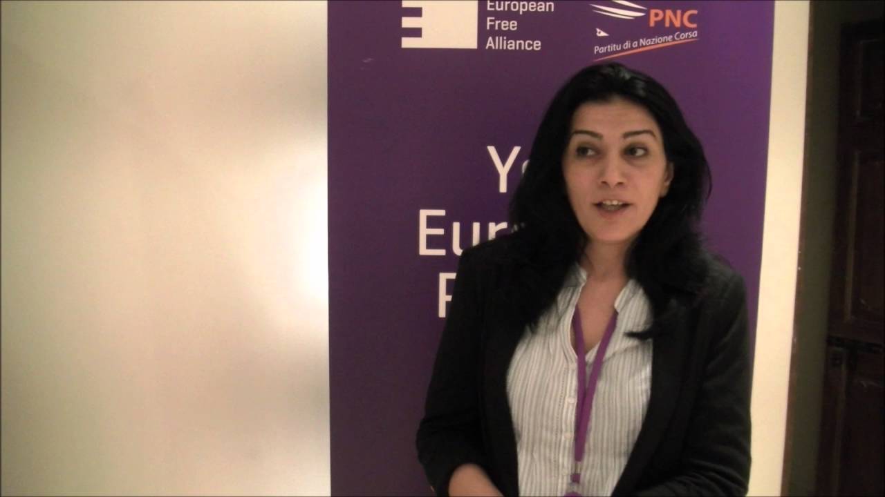 The deputy Foreign Minister of the Nagorno Karabakh Republic on #EFATV