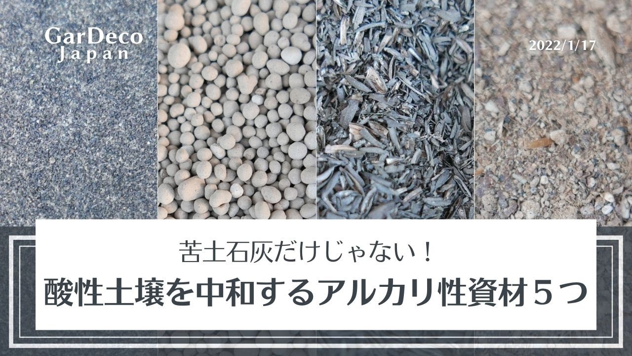 【土作り】苦土石灰だけじゃない！酸性土壌を中和できるアルカリ性資材５つ【土壌改良】