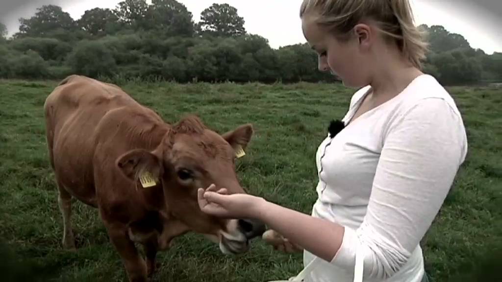 Landwirtschaft im Emsland