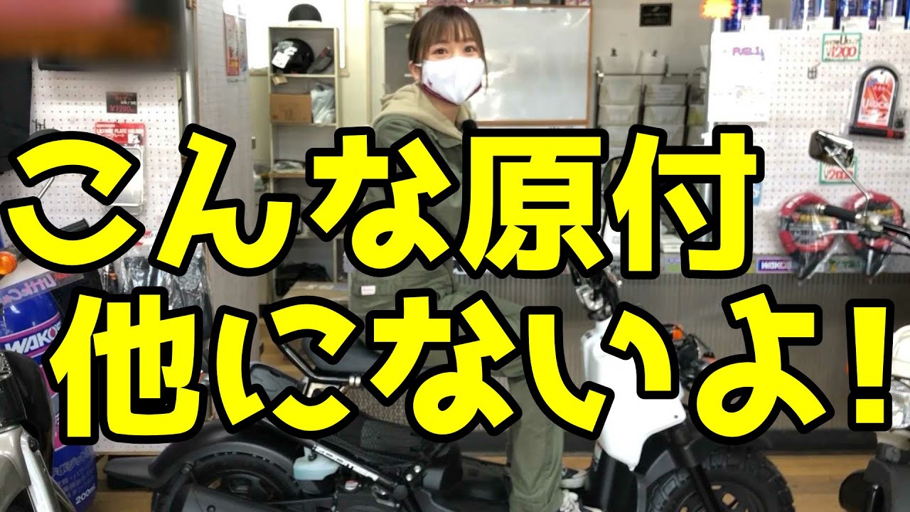 【バイク紹介】ホンダズーマーはこんな人におすすめ！カスタム例も紹介。