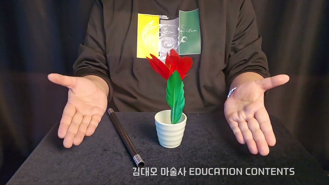 완드 투 플라워 Wand to Flower Magic