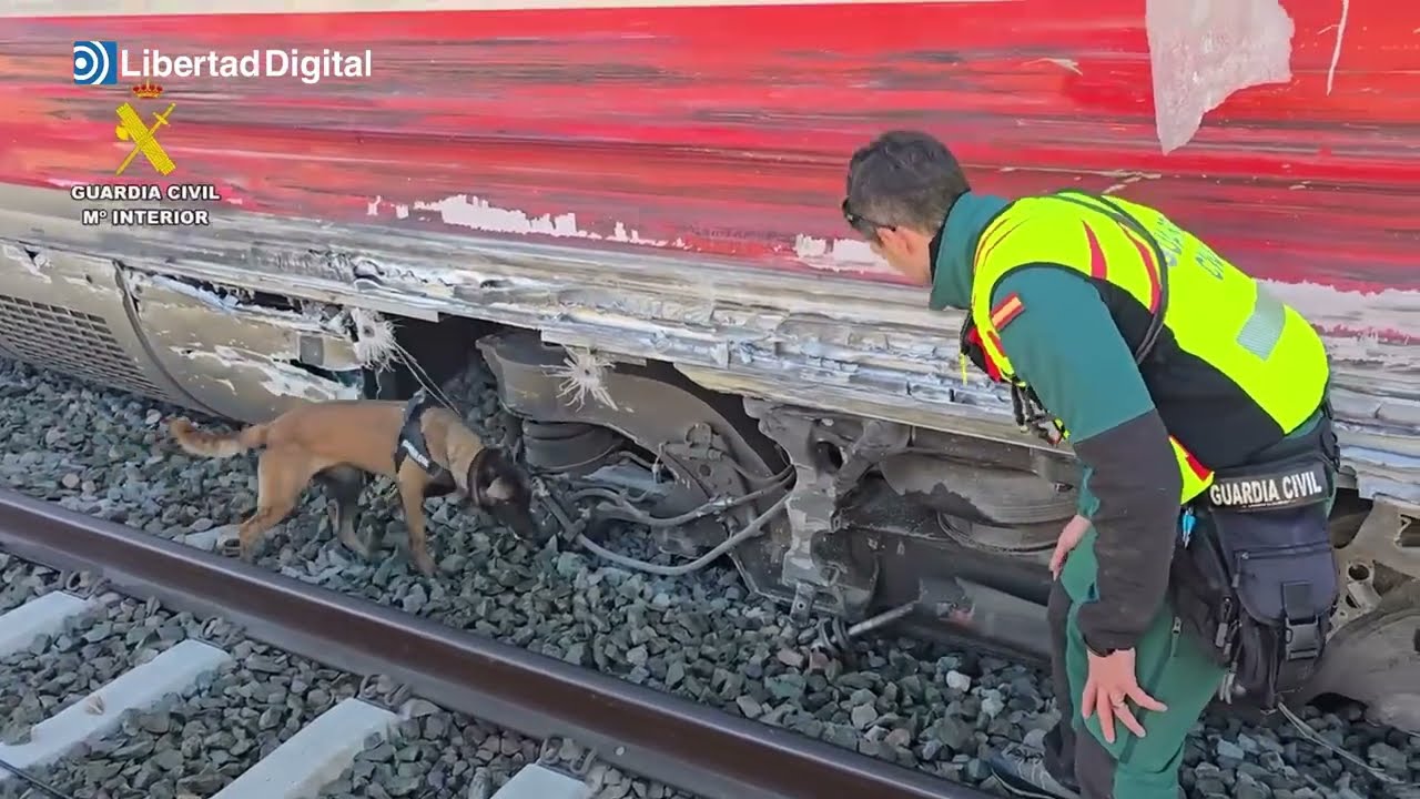 La Guardia Civil entra con perros en los trenes en busca de restos para identificar v&iacute;ctimas