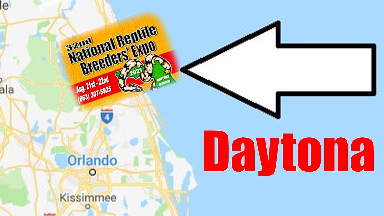 TOP 5 FAVORITES AT THE DAYTONA REPTILE SHOW 2021 W/ REGGIE FROM URBAN JUNGLE! THE PLUG