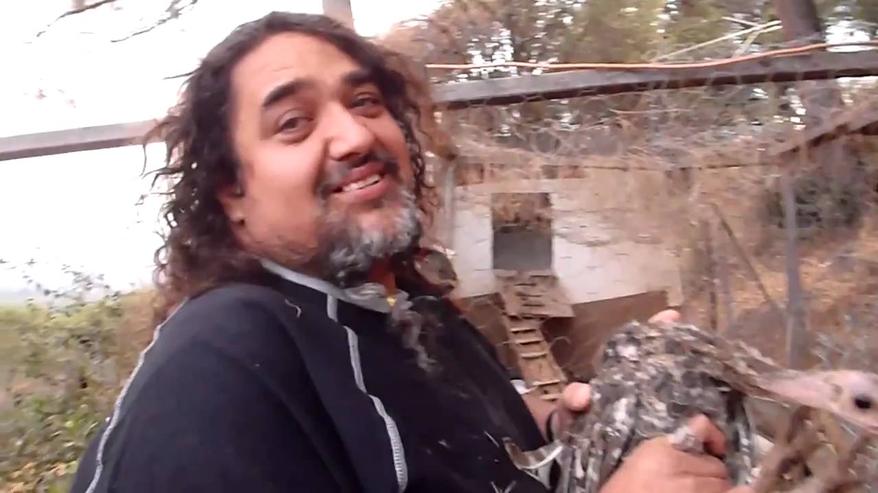 Farming W/ Meghan & Lilia Yosemitebear Mountain Farm 10/10