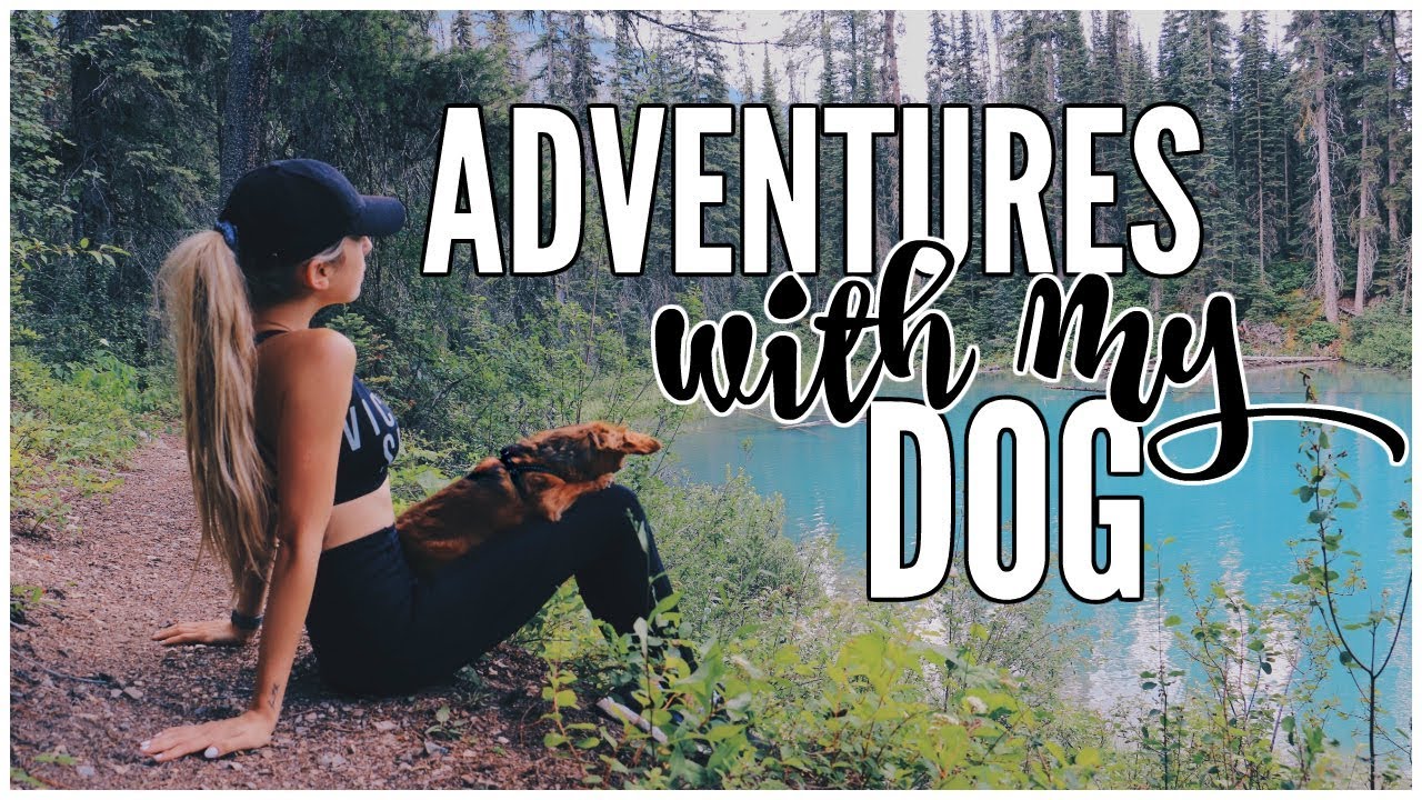 My Mountain Adventure | Camping & Castles