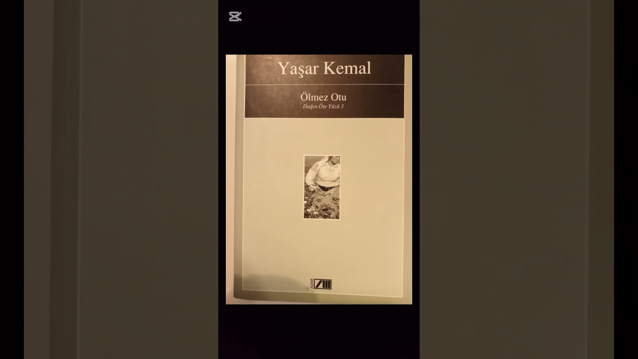 YAŞAR KEMAL- ÖLMEZ OTU- 10. BÖLÜM- TURGAY AKPINAR'IN SESİNDEN 