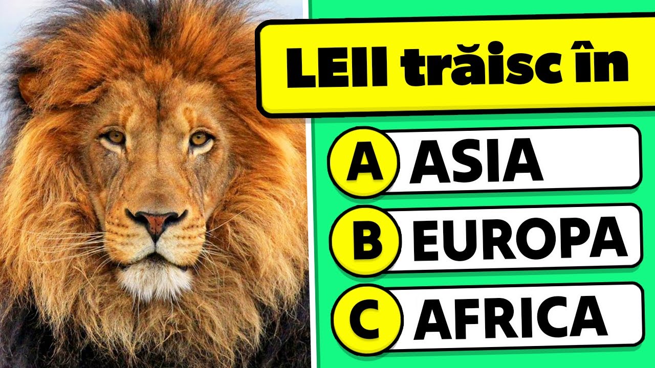 C&acirc;t de bine cunoști PISICILE MARI? 🦁🐯✅ Test de Cultură Generală Despre Animale