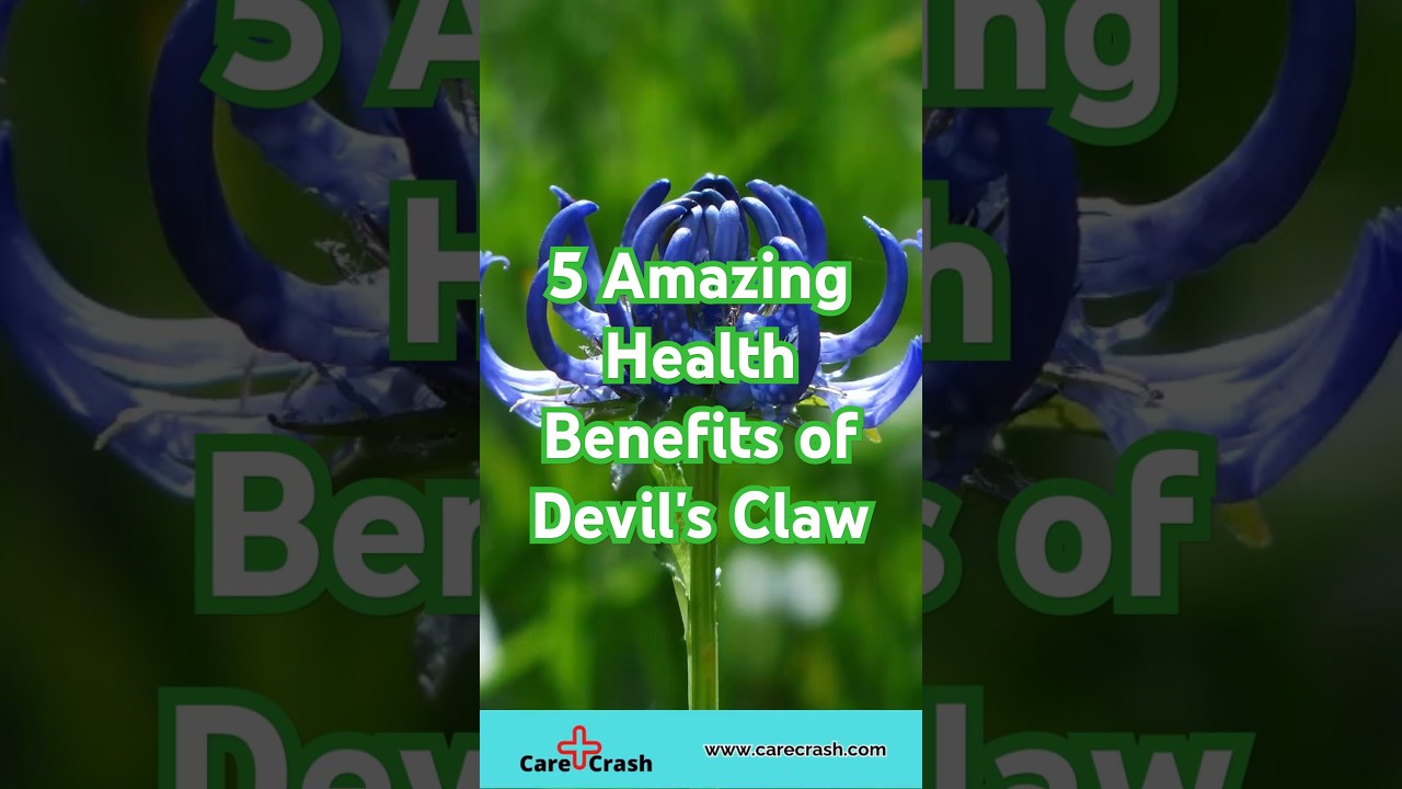 5 Amazing Health Benefits of Devil's Claw | #carecrash