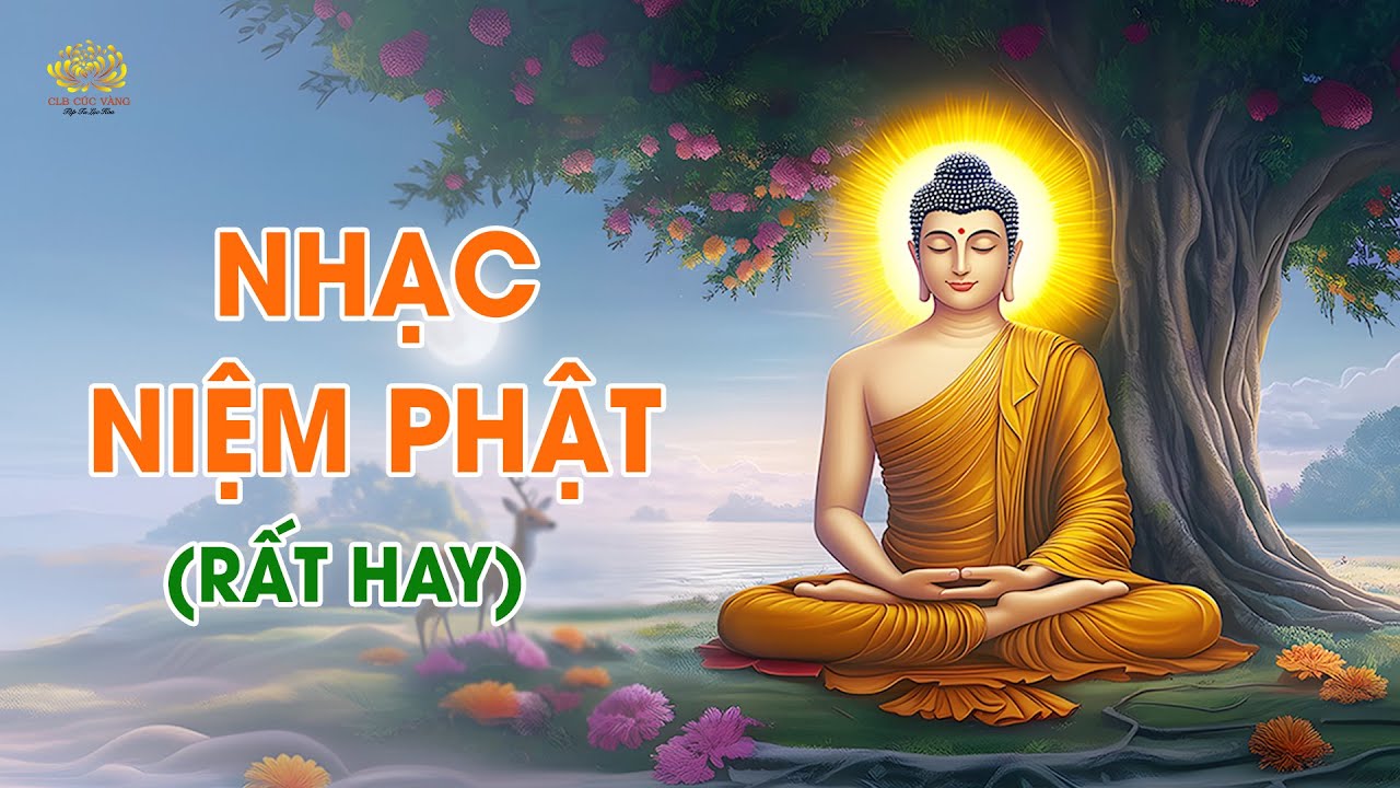 Nhạc niệm Phật hay nhất | Nhạc niệm Quy y Phật, Pháp, Tăng giúp tĩnh tâm, an lạc, giảm trừ phiền não