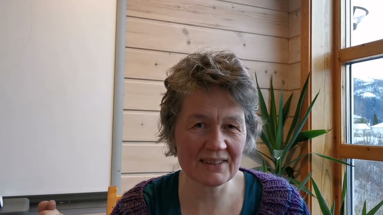 Stress skapes av indre mentale konflikter
