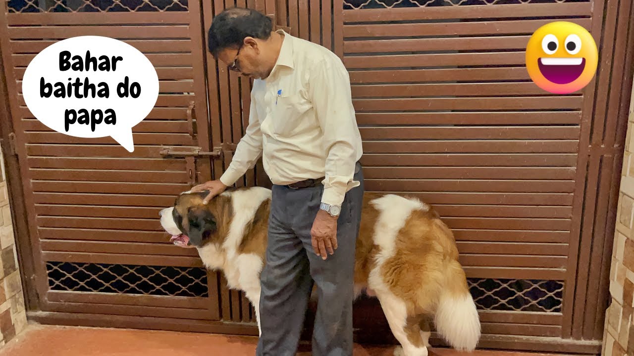 Is Tyzuu complaining about bhai to Papa ?🥹❤️🐶