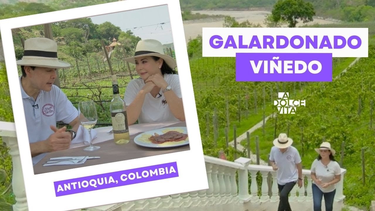Galardonado Viñedo en Antioquia, Colombia - Conoce Viña Sicilia con La Dolce Vita.