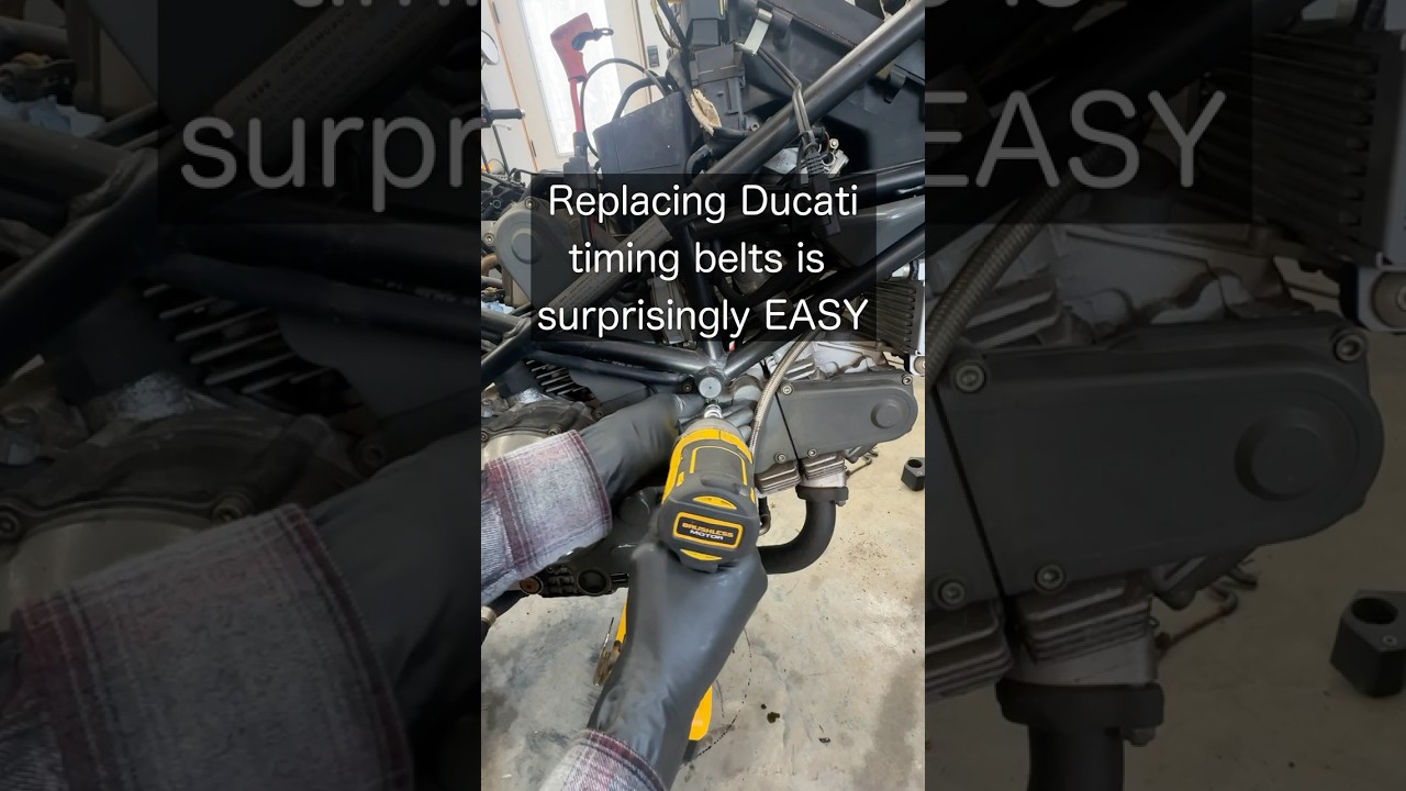 Replacing Ducati timing belts is surprisingly easy!