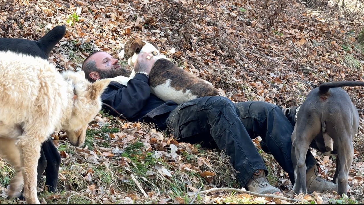 BRUNO - EUROPEAN GODFATHER OF DOGS