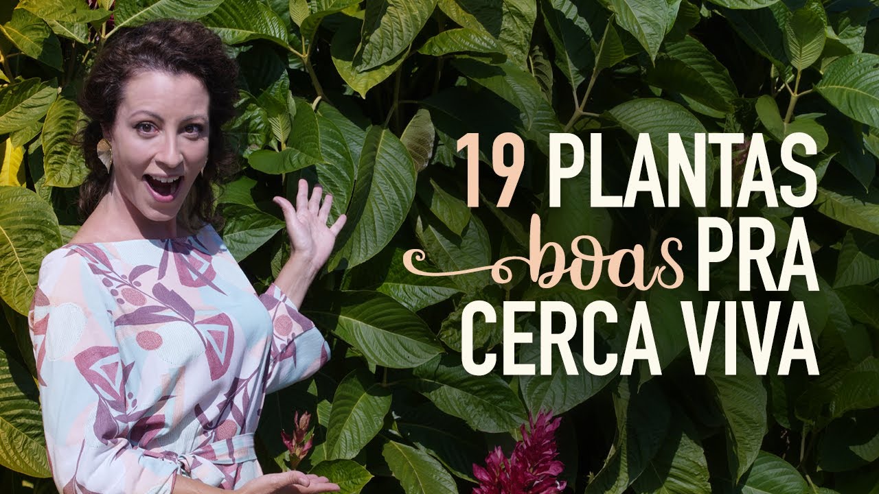 19 PLANTAS para CERCA VIVA