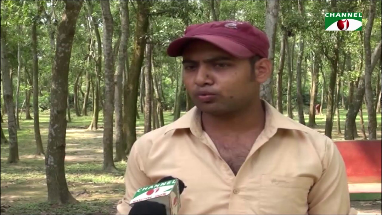 ৩ বছরেও চালু হয়নি রংপুর মিঠাপুকুর ইকোপার্ক।