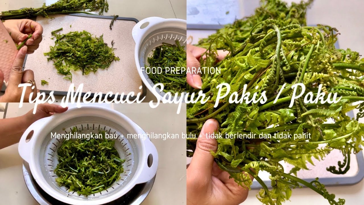 Tips Membersihkan Sayur Pakis/Paku |Menghilangkan bau, berlendir, dan aman di konsumsi