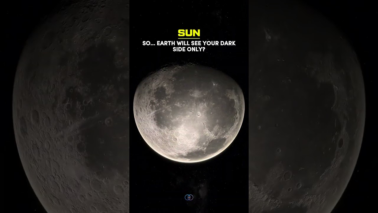 Don't Miss The New Moon on November 20, 2025 🤯 #astronomy