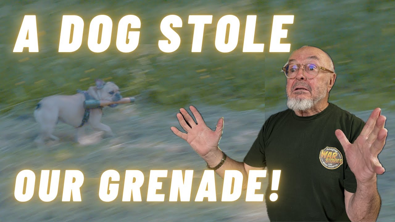 Why do German WW2 hand-grenades have Sticks on them?