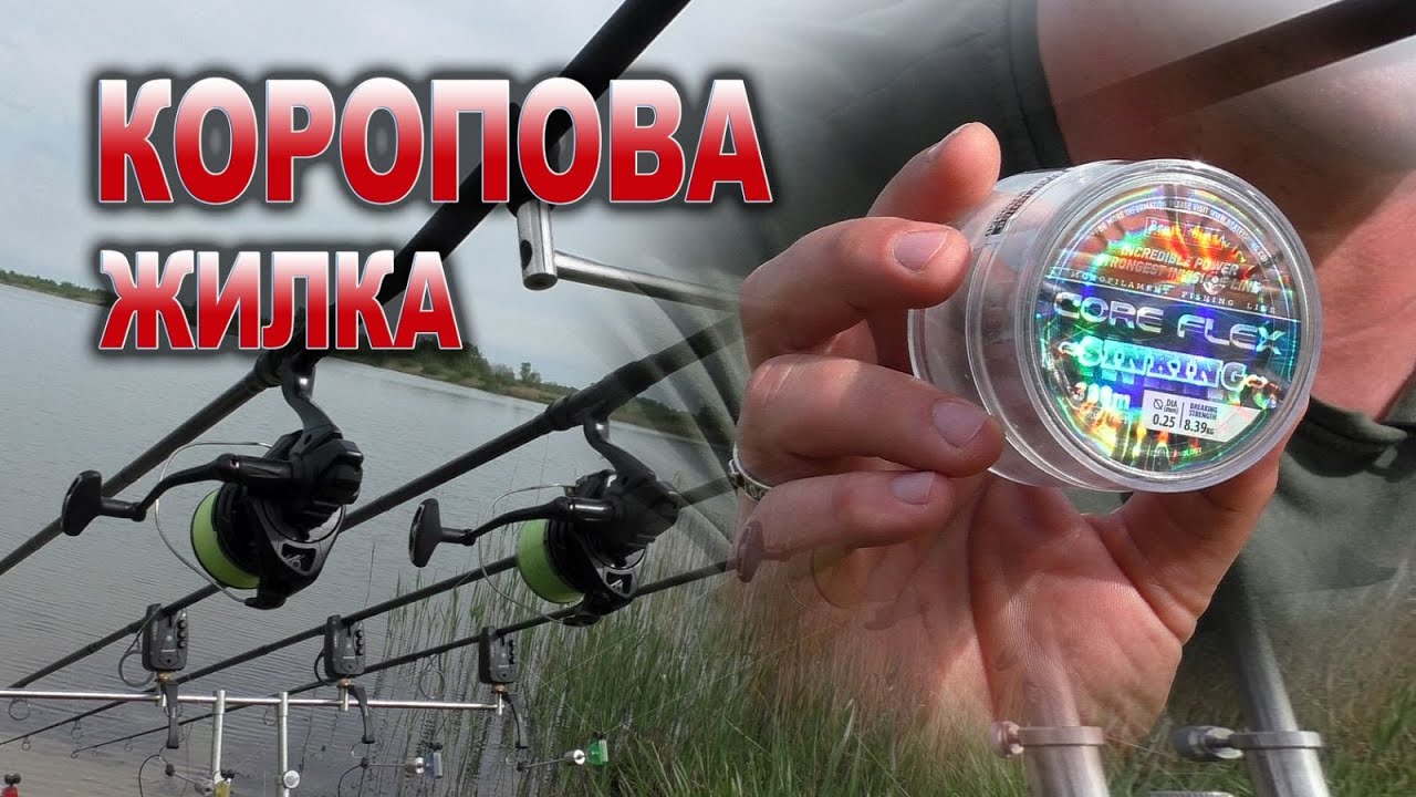 Коропова жилка, ліска для коропа??? Характеристики, вибір, лайфхаки