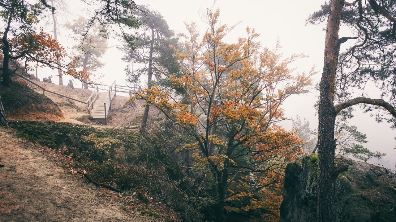 Příhrazské skály v Českém Ráji :: Krajinářův podzim # 13  :: Krajinářská fotografie