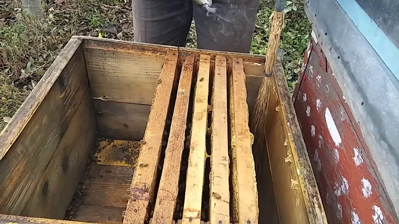 Metoda mea de inpachetare si problemele pe care le mai avem!