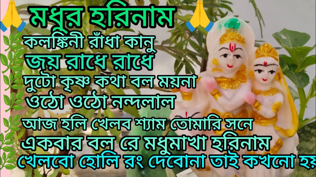 গোলকের শ্রীহরি 🙏🌿 শ্যামেরও বাঁশি বাজে 🙏🌿 কৃষ্ণ ভজ কৃষ্ণ জপ 🙏🌿 kritan 🙏
