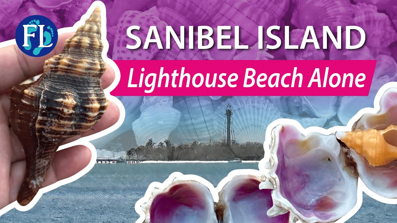 Virtually Alone on Sanibel&rsquo;s Lighthouse Beach Shelling, Post-Ian