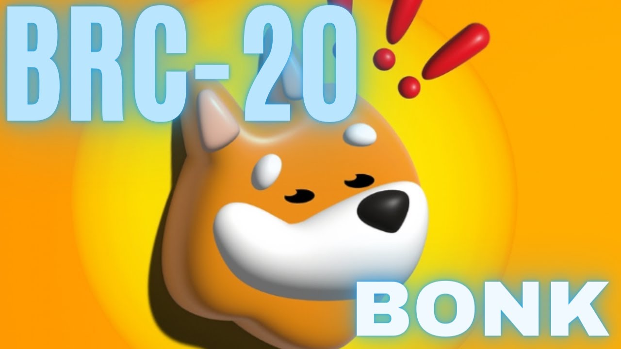BONK BRC-20 MILLIONAIRE LOADING: BRC-20 PORTFOLIO