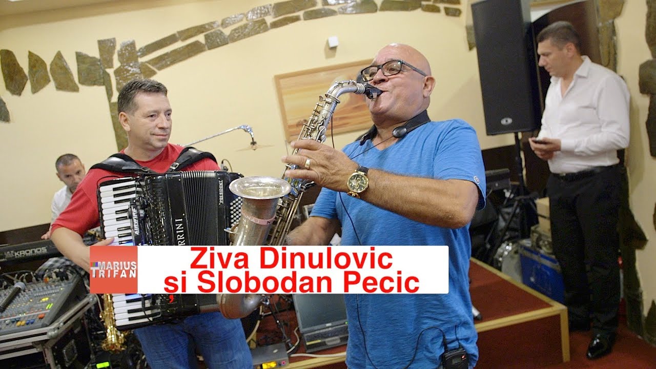 Ziva Dinulovic & Slobodan Pecic - Program Sarbesc la Severin 2017 LIVE nunta Ana-Maria si Emin