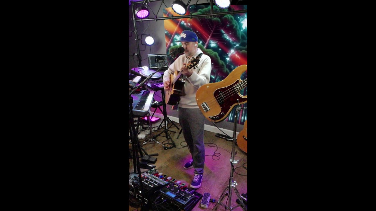 Caturday Comfort Loops #livemusic #acoustic #looping #jam #music