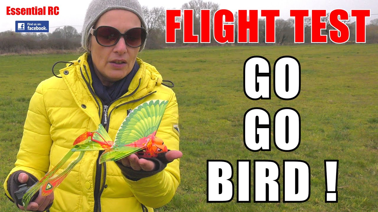 GO GO BIRD RC ORNITHOPTER ! (PART 1): ESSENTIAL RC FLIGHT TEST