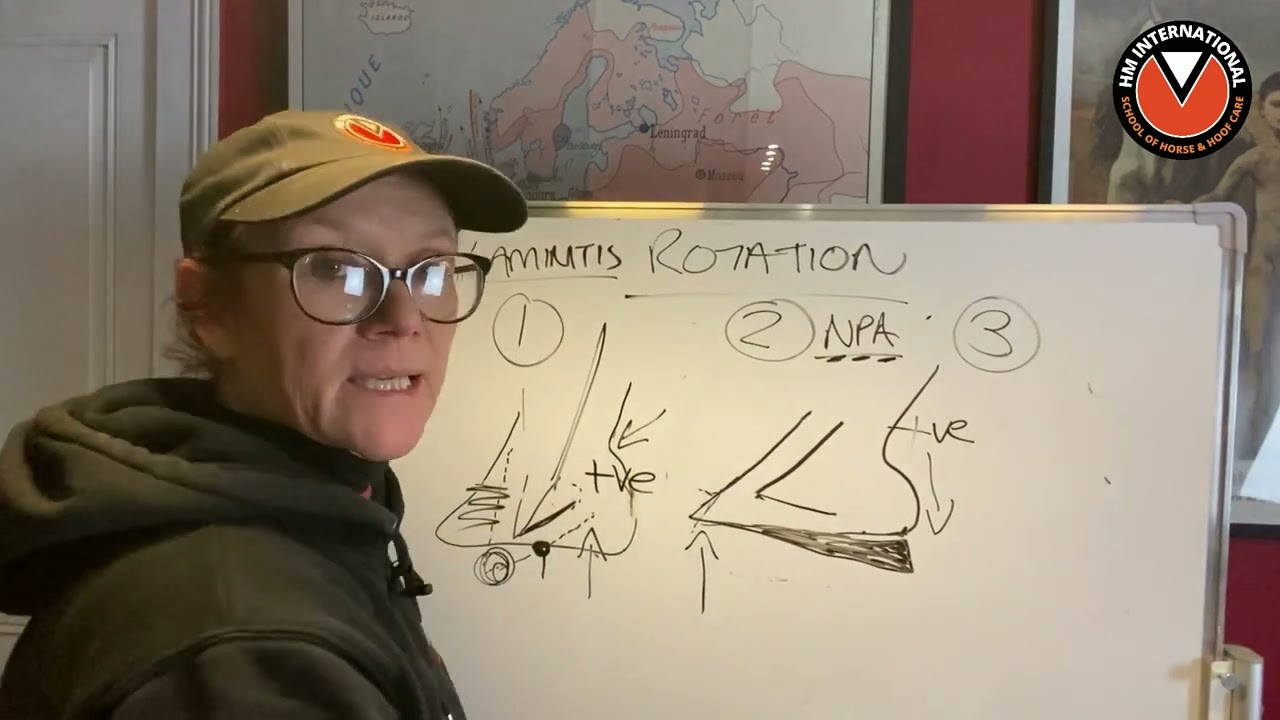 Myth busting continued: Laminitis DOES NOT = rotation