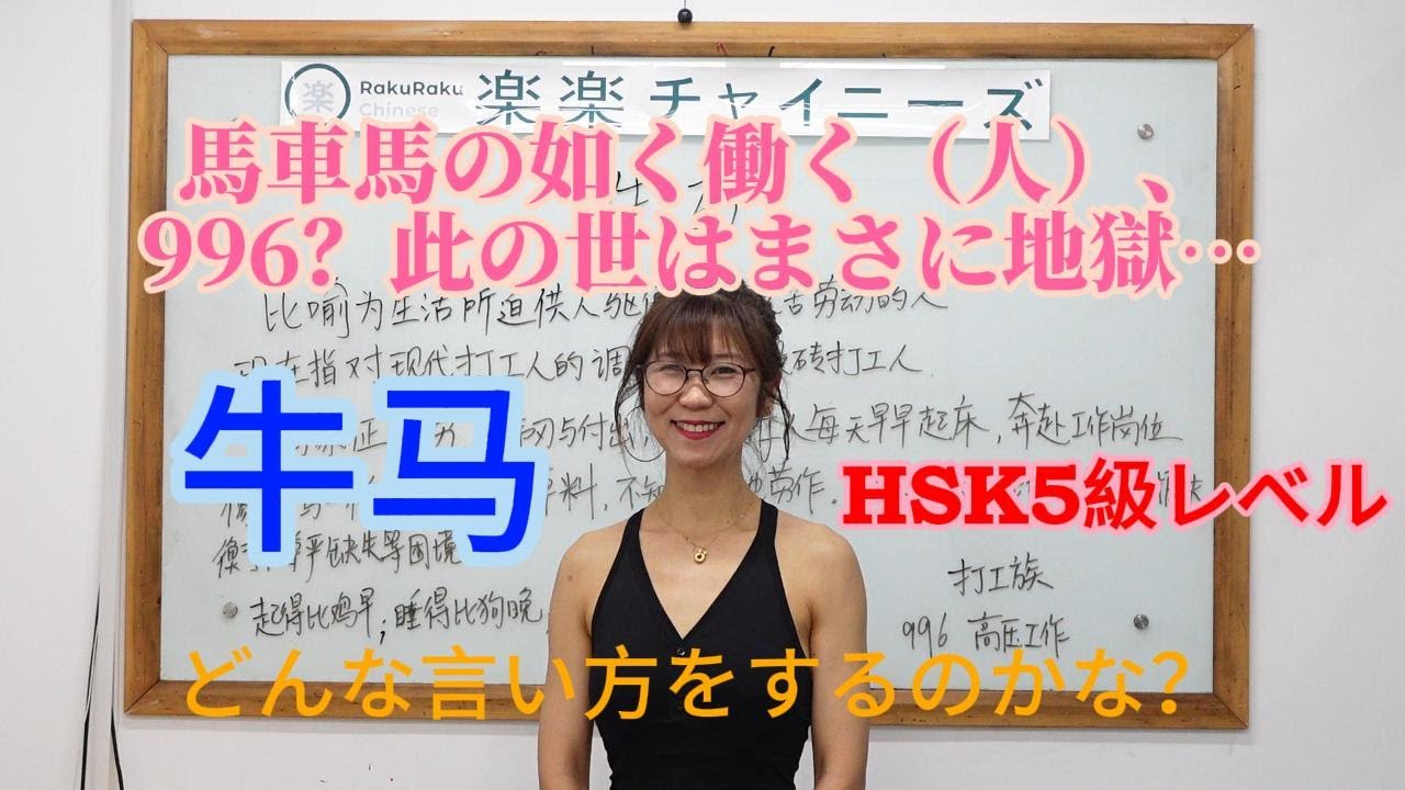 【楽楽チャイニーズ RakuRaku Chinese】中国語講座 Mandarin Chinese Lesson 上級 advanced level 第246課 「 牛马 」