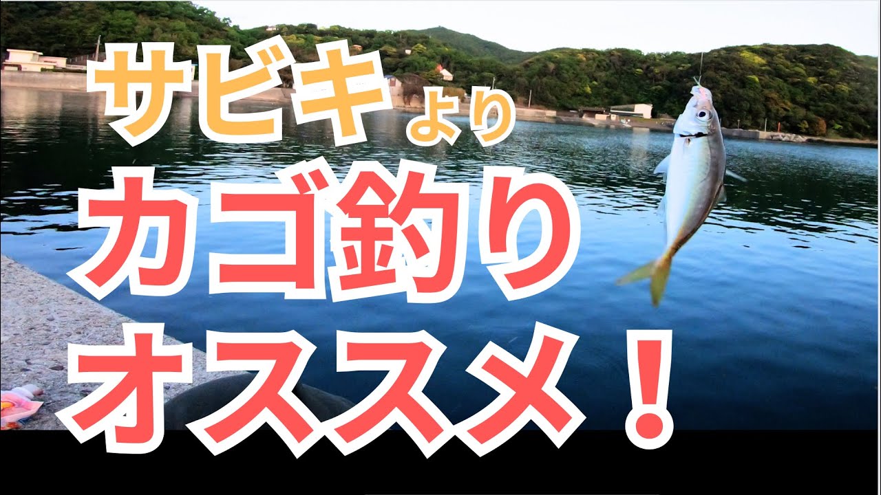 サビキよりカゴ釣りがオススメな理由